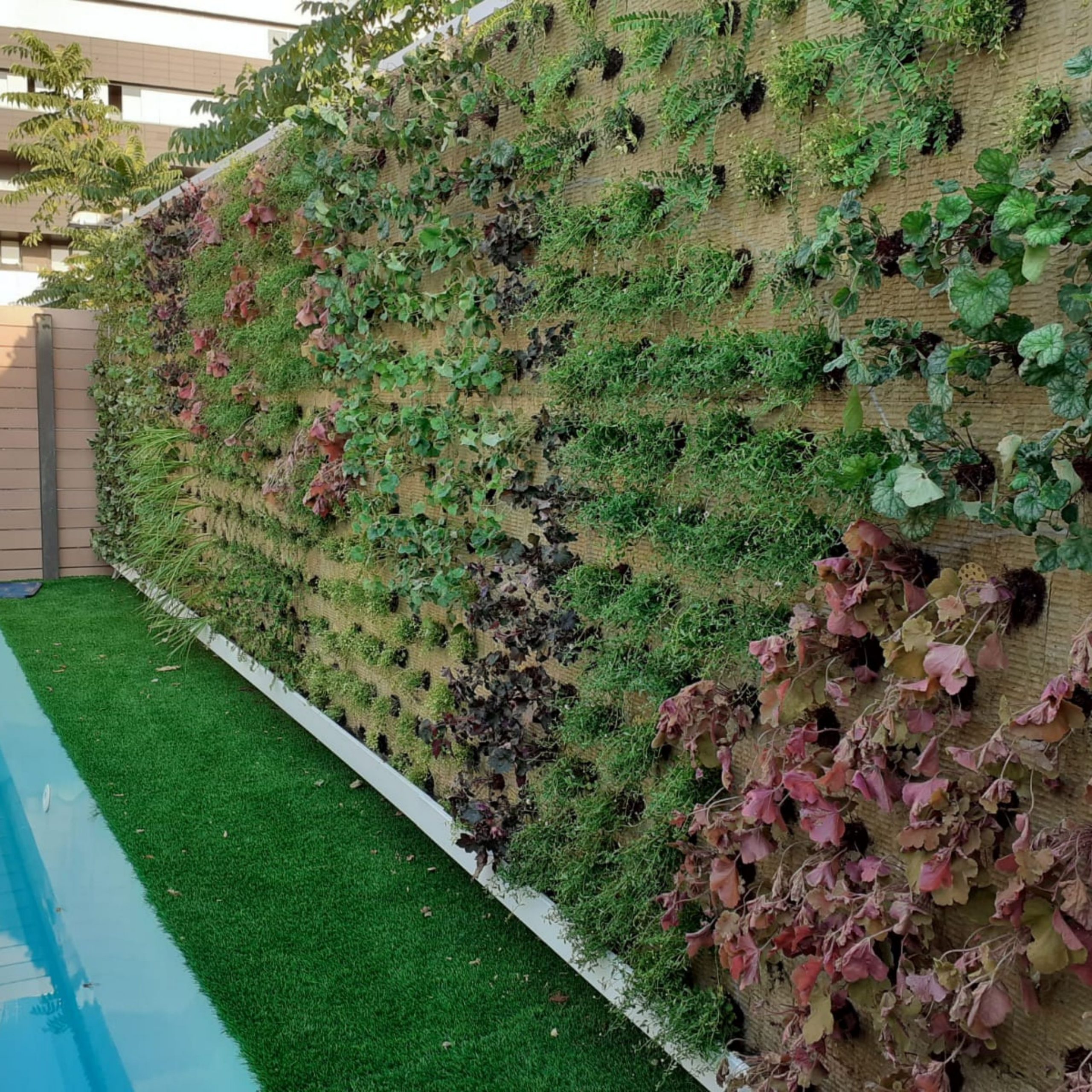 Civilizar capítulo Abuelo Jardines verticales ✓ Guía para descubrir todo sobre los muros verdes