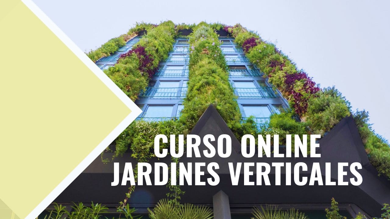 Consejos para mantener un jardín vertical - Paisajismo Urbano